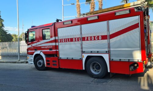 A fuoco il bosco del parco Wagner dove si trovavano anche ragazzi. Emergenza roghi e rifiuti nel ricovero per i randagi di c. Buonconsiglio