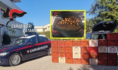 ARRESTATO UN 40 ENNE CON 600 CHILI DI ARANCE RUBATE NELL’AUTO